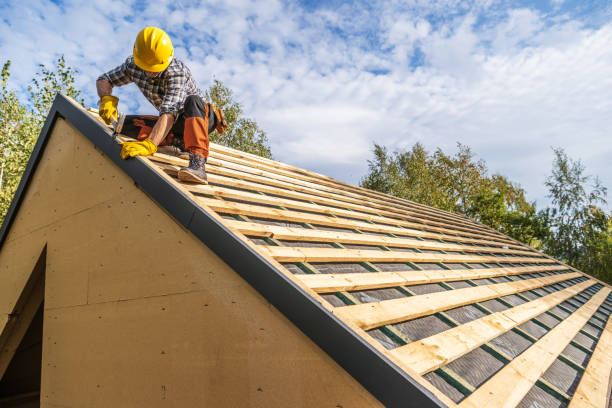 Best Roof Maintenance Services  in Marin City, CA